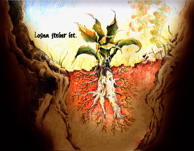 mandrake-executed